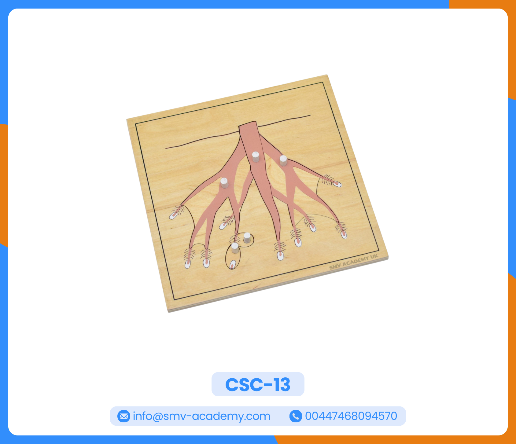 مجموعة بازل أجزاء النبات - Parts of a Plant Puzzle